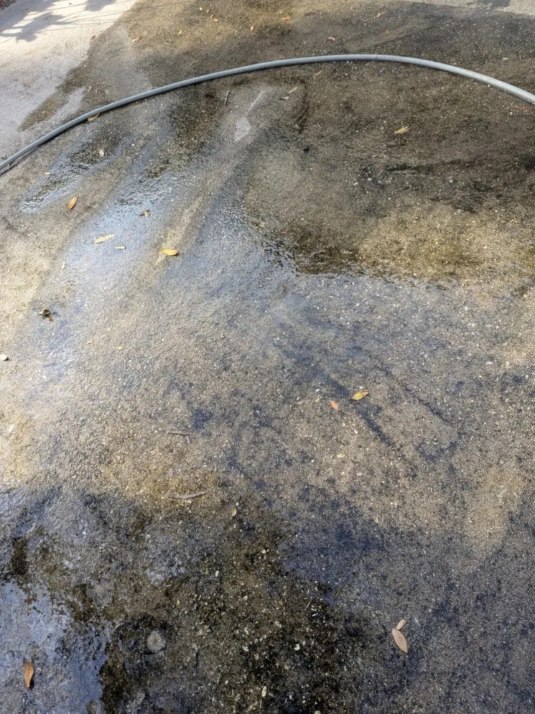 Professional landscape installation for year-round maintenance in Kissimmee, FL by Reed's Lawn & Property Maintenance