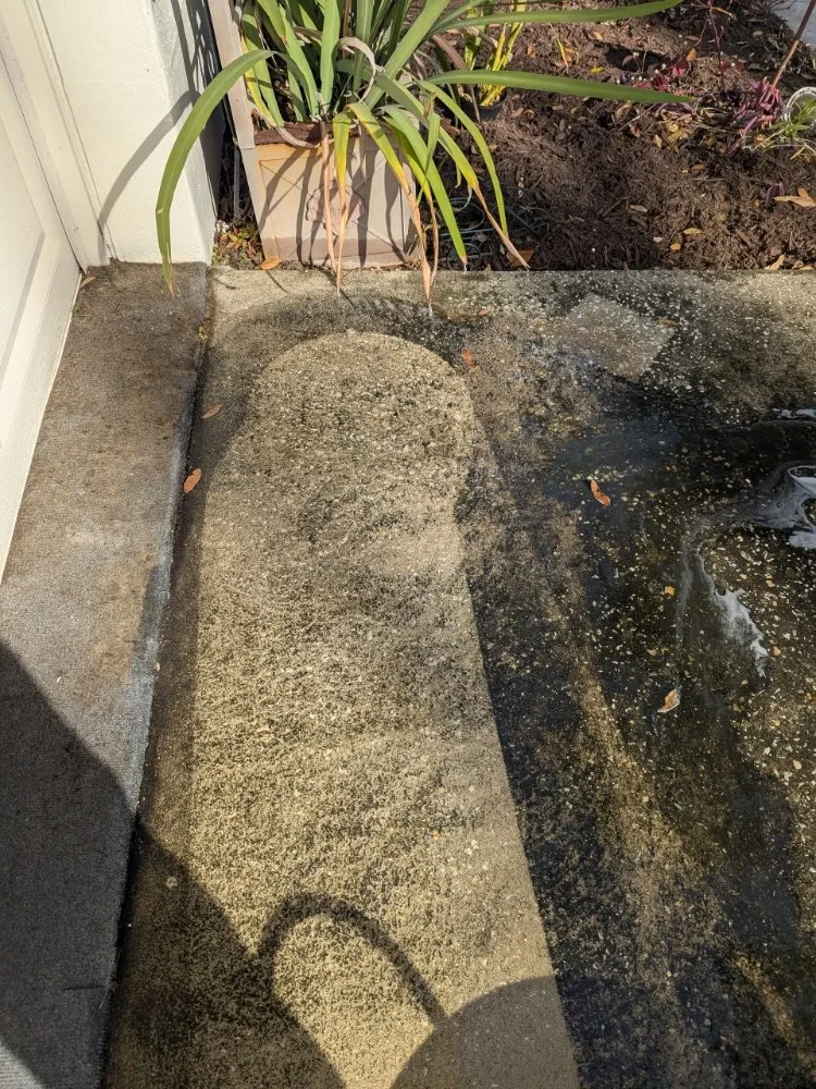 Affordable lawn care service for homes in Kissimmee, FL by Reed's Lawn & Property Maintenance