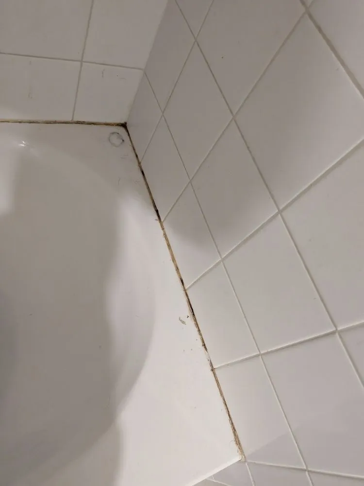 Local yard maintenance in Kissimmee, FL by Reed's Lawn & Property Maintenance