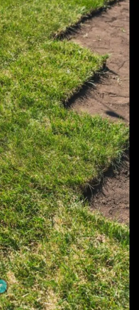 Custom landscape design experts serving Kissimmee, FL - Reed's Lawn & Property Maintenance