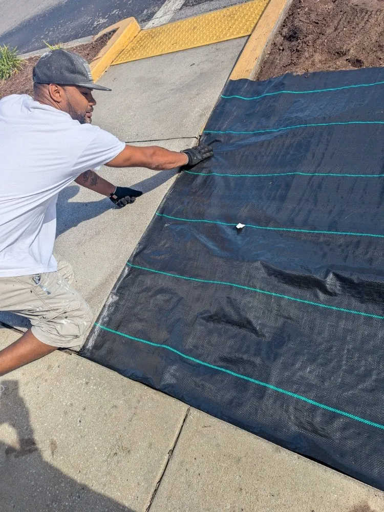 Expert yard cleanup service experts serving Kissimmee, FL - Reed's Lawn & Property Maintenance