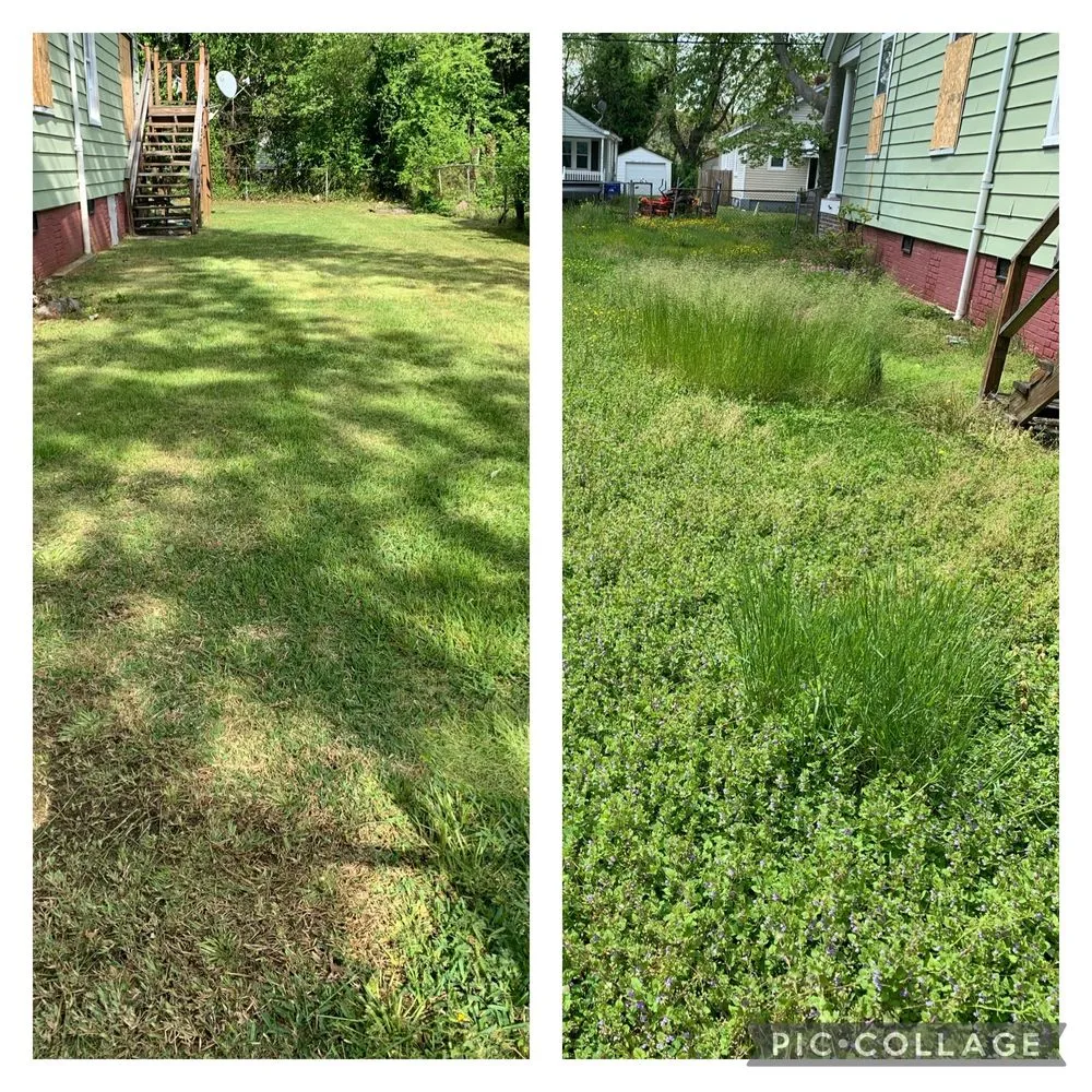 Expert residential landscaping in Portsmouth, VA - Reed’s Lawn and Landscape Maintenance