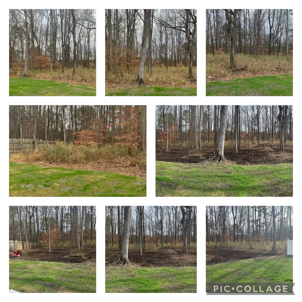 Reliable landscaping services experts serving Portsmouth, VA - Reed’s Lawn and Landscape Maintenance