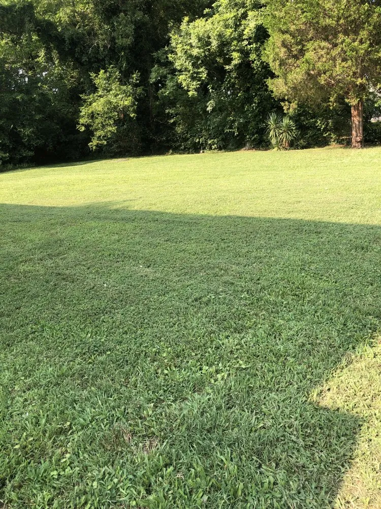 Trusted yard cleanup service in Portsmouth, VA - Reed’s Lawn and Landscape Maintenance