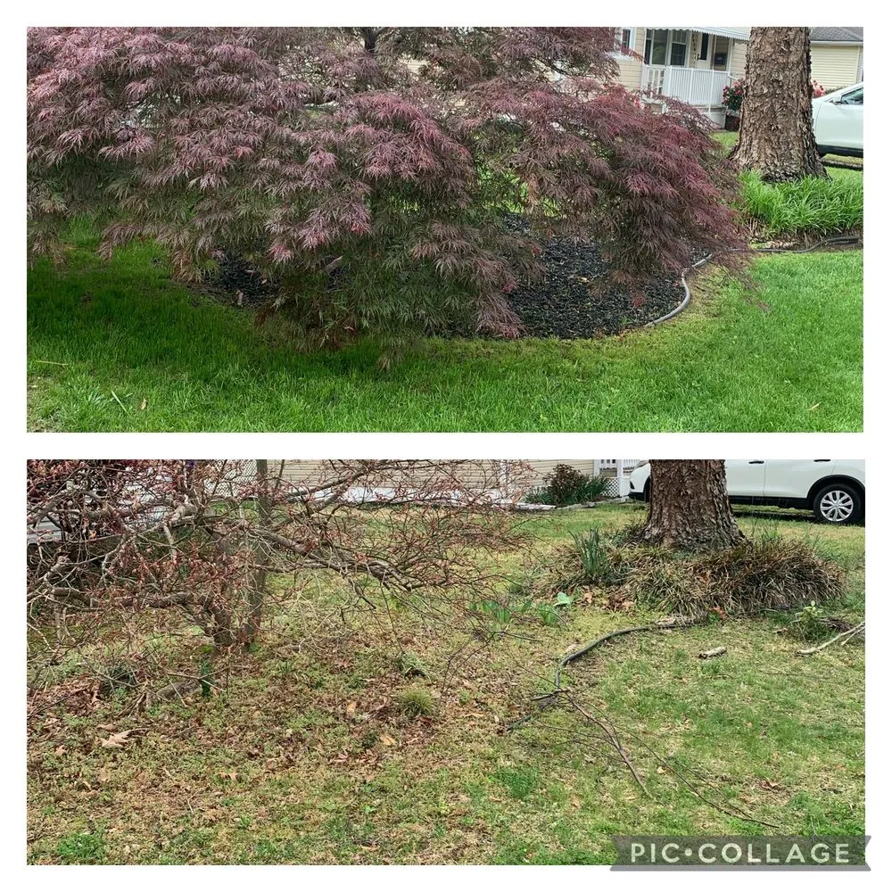 Reliable yard cleanup service for beautiful yards in Portsmouth, VA by Reed’s Lawn and Landscape Maintenance