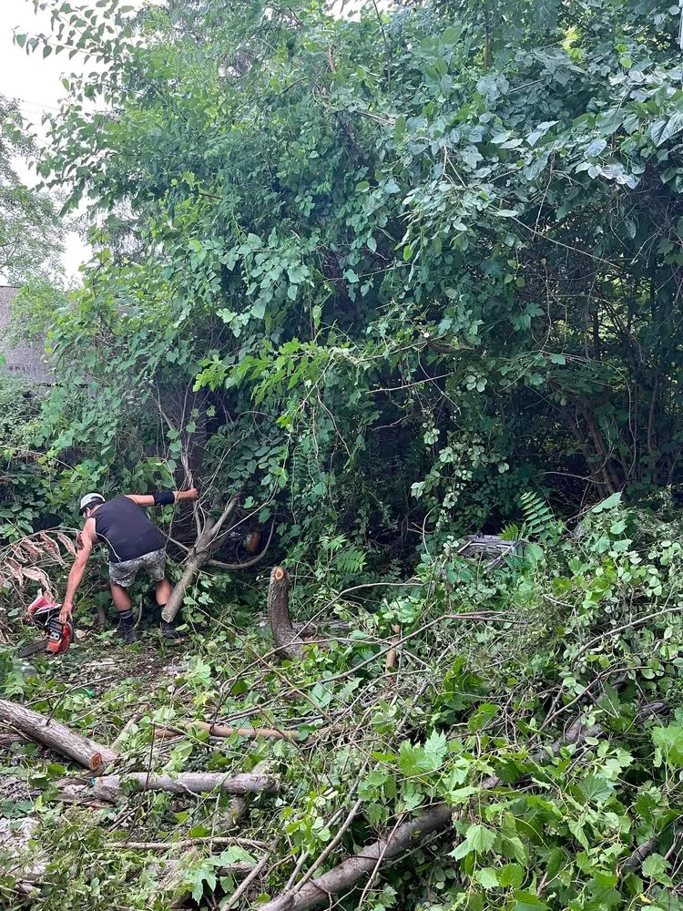 Local landscape installation in Auburn Hills, MI - Reeds Lawn Care