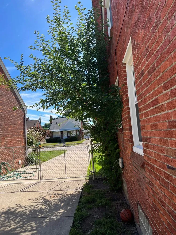 Professional lawn care service for residential properties in Auburn Hills, MI by Reeds Lawn Care