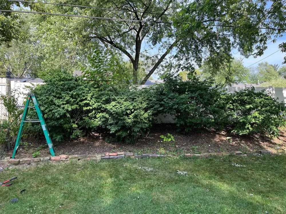 Top-rated landscape design in Auburn Hills, MI - Reeds Lawn Care