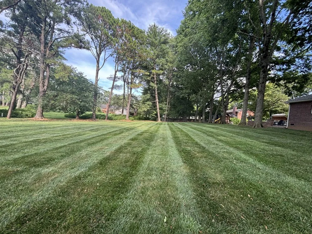 Reliable lawn mowing service for outdoor upgrades in Brentwood, TN by Reed’s Lawn Care