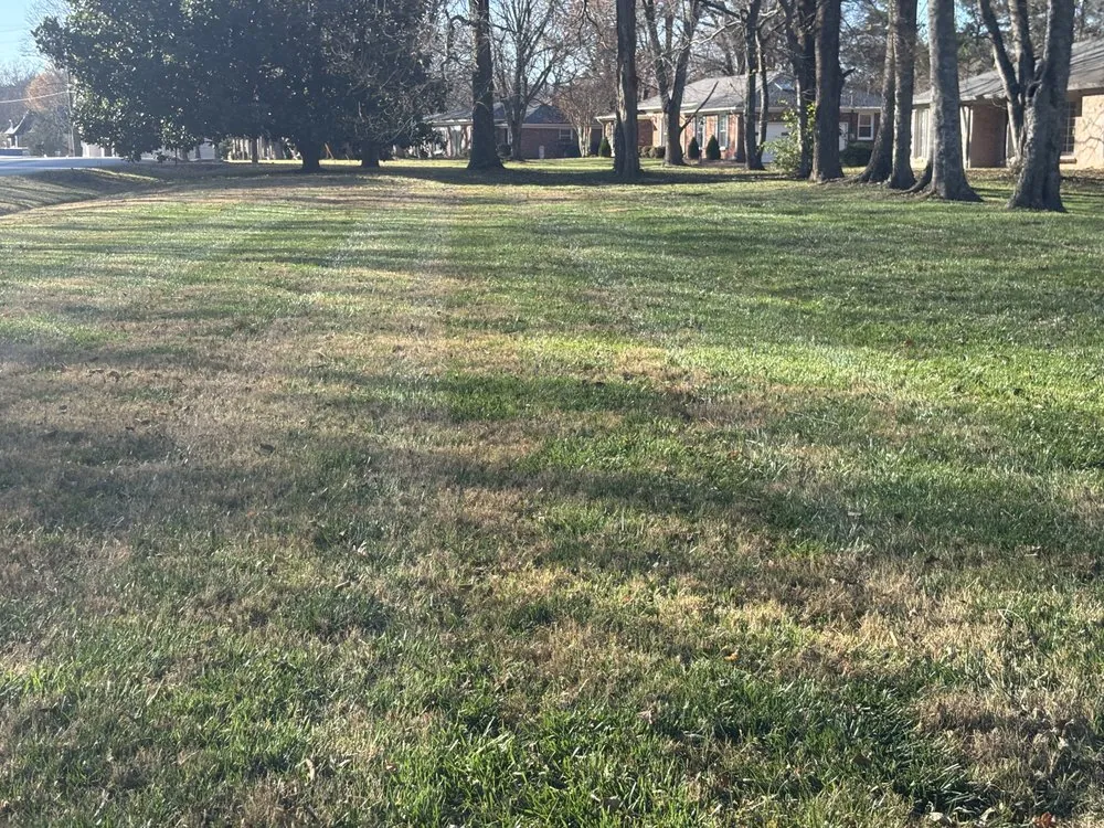 Expert residential landscaping for year-round maintenance across Brentwood, TN - Reed’s Lawn Care