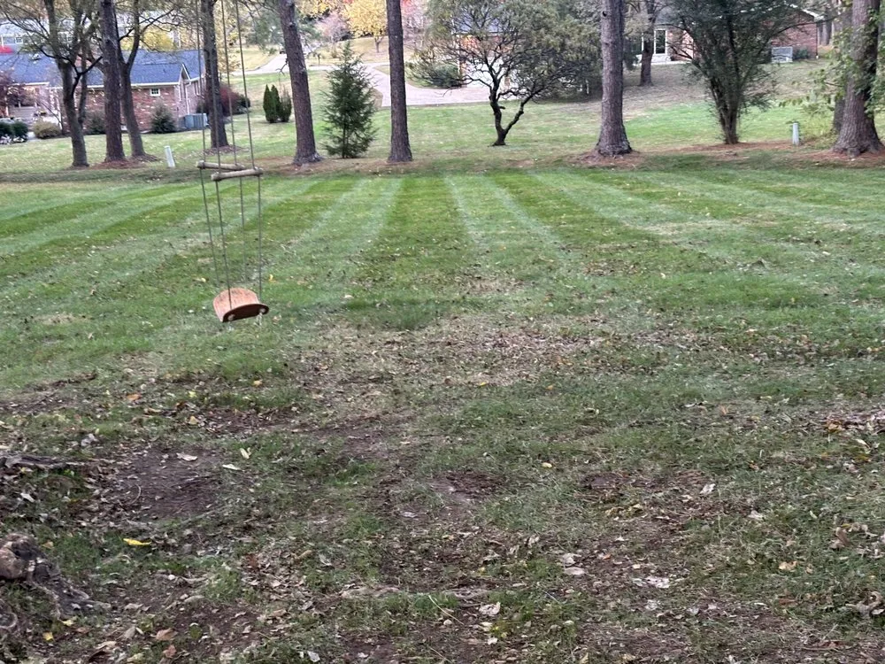 Local yard cleanup service in Brentwood, TN by Reed’s Lawn Care