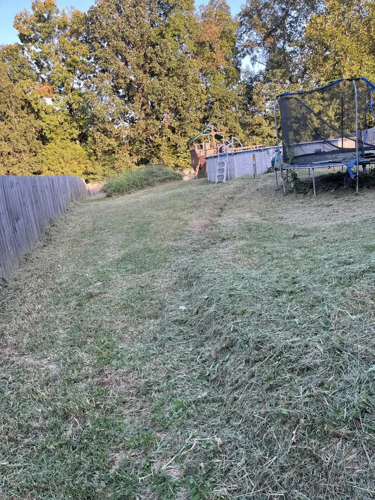 Expert yard cleanup service experts serving Clarksville, TN - Reeds Lawn Care