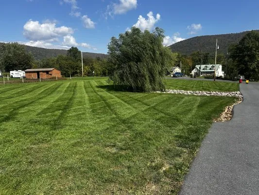Reed's Lawncare & Landscaping Logo
