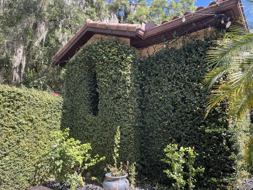 Expert lawn care service in Crescent City, FL by Reed’s Leaf & Lawn