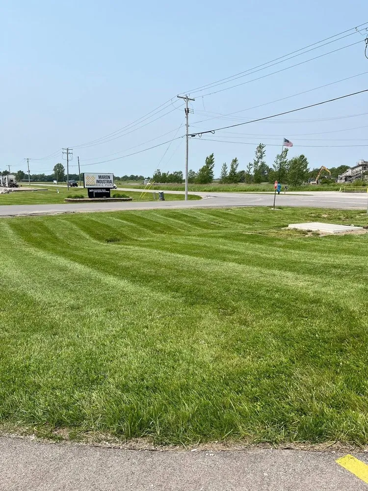 Affordable landscaping services for beautiful yards in Marion, OH by Reed’s Properties