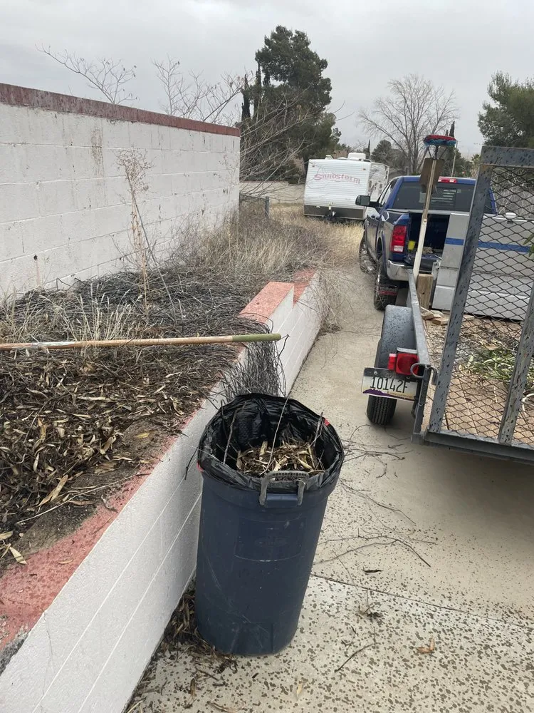 Professional landscape design in Kingman, AZ by Reed’s Property Maintenance