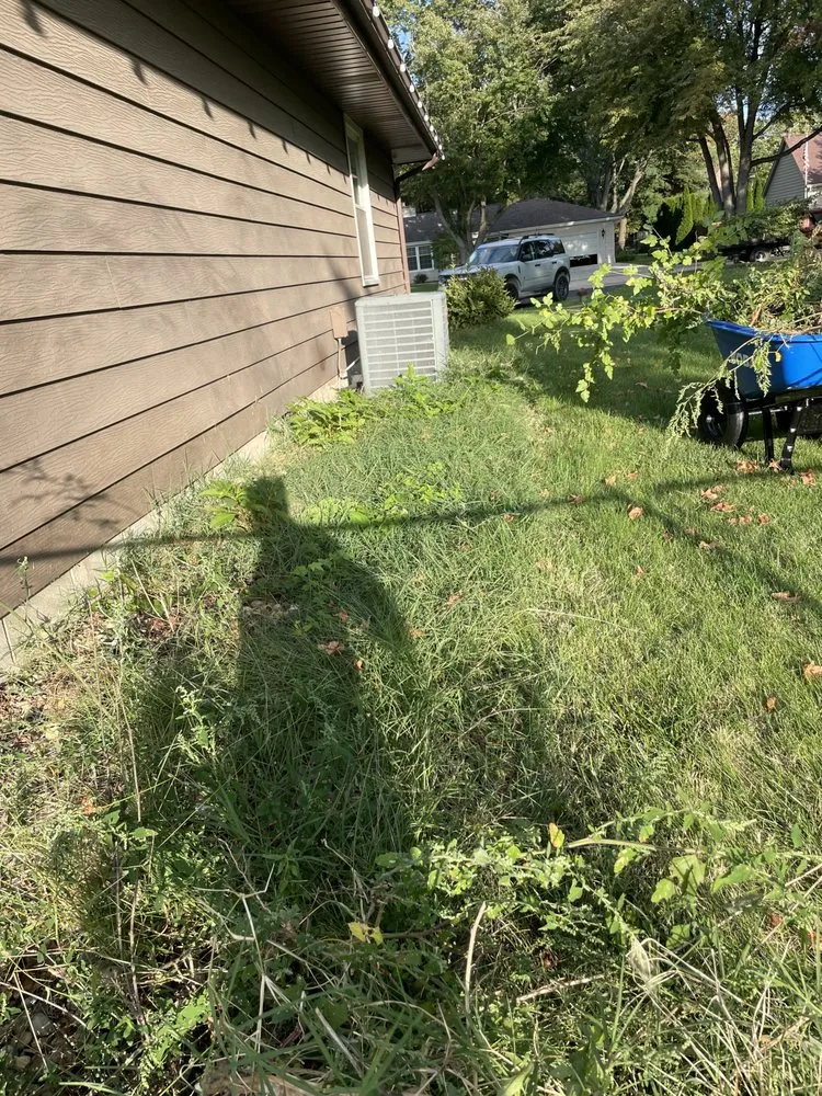 Custom landscape design experts serving Blue Mound, IL - Reeds Services and Yard Maintenance