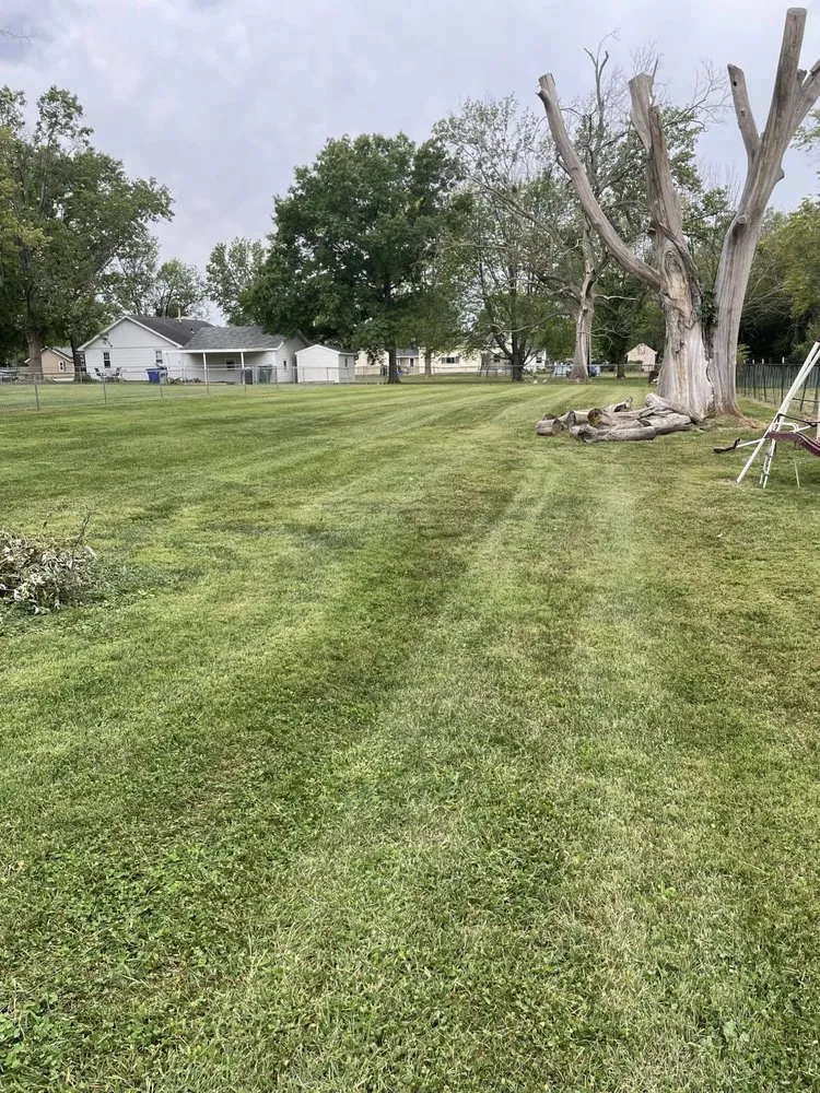 Expert landscaping services experts serving Blue Mound, IL - Reeds Services and Yard Maintenance
