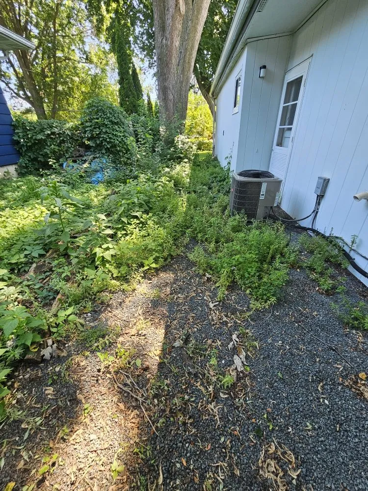 Reliable residential landscaping in Sun Prairie, WI - ReedsWeedz