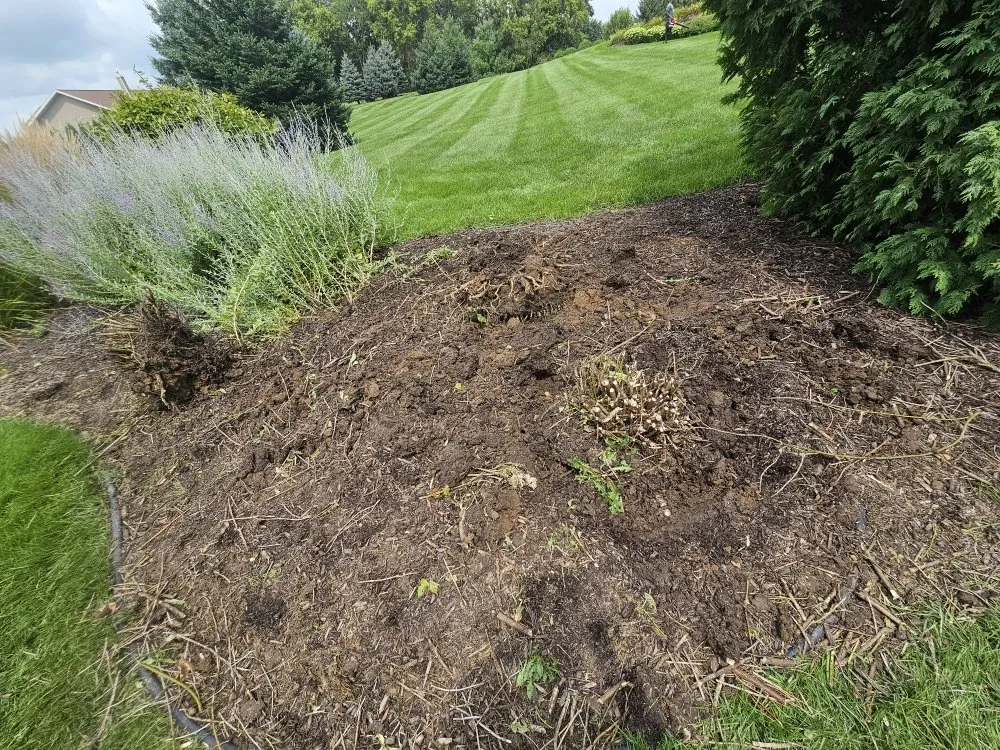 Local residential landscaping for outdoor upgrades across Sun Prairie, WI - ReedsWeedz