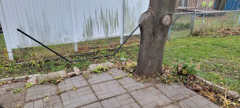 Expert yard cleanup service experts serving Sun Prairie, WI - ReedsWeedz