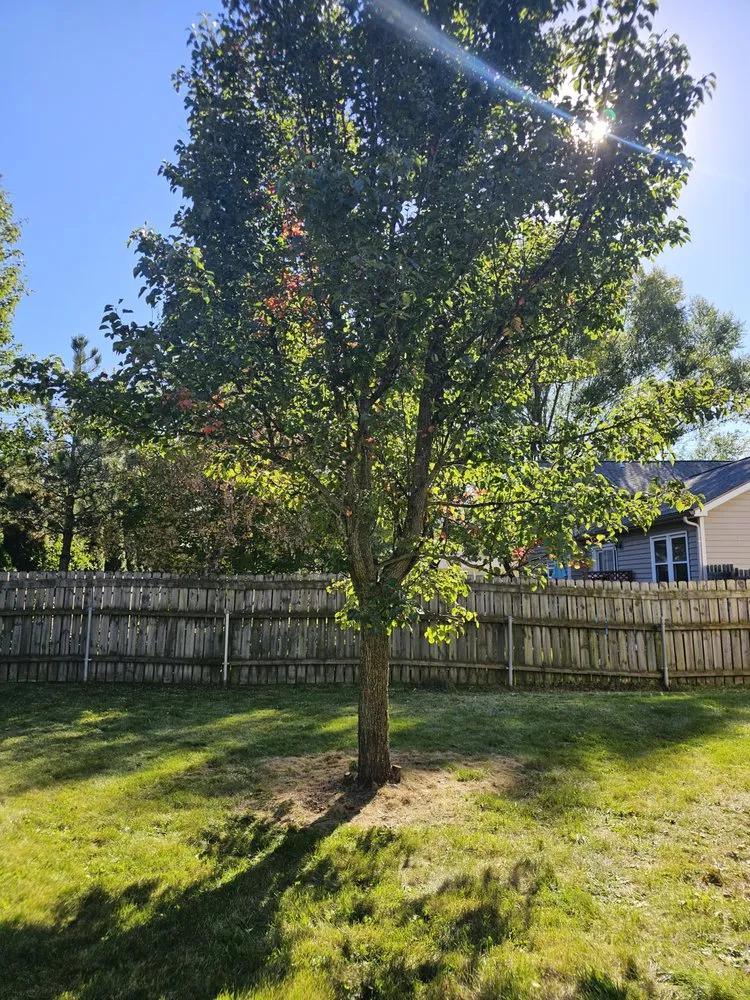 Reliable lawn mowing service experts serving Sun Prairie, WI - ReedsWeedz