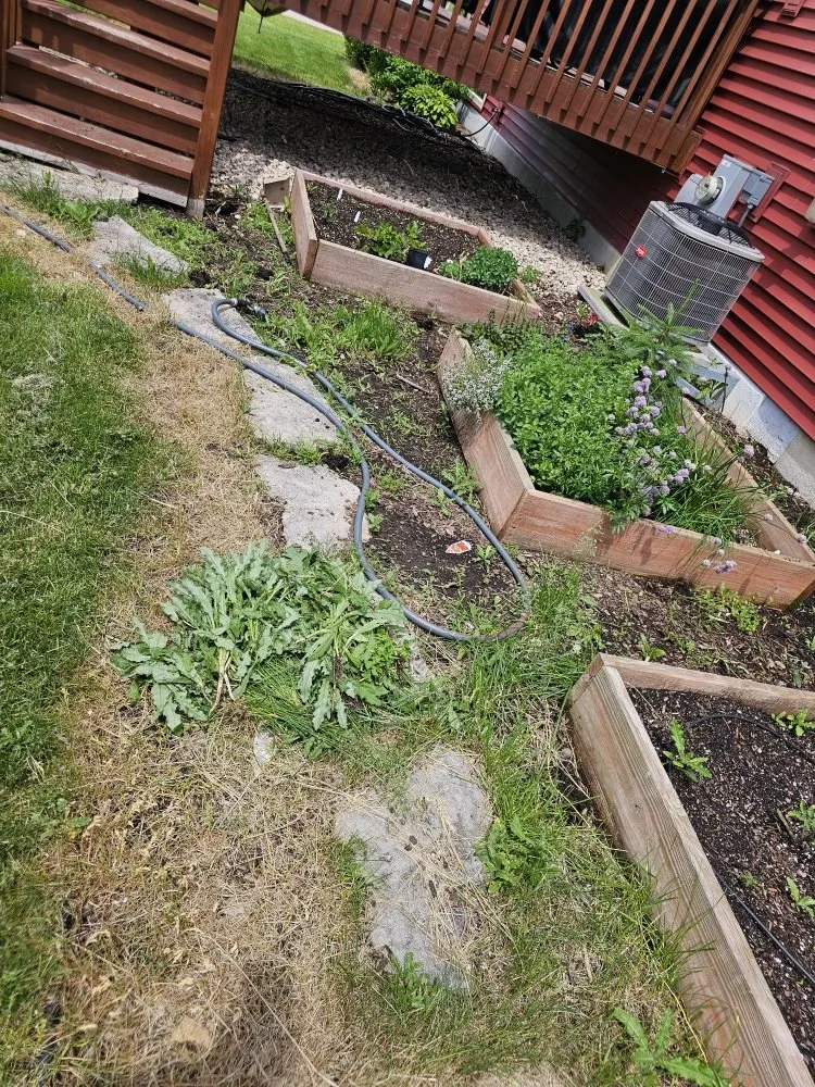 Trusted landscaping services near you across Sun Prairie, WI - ReedsWeedz