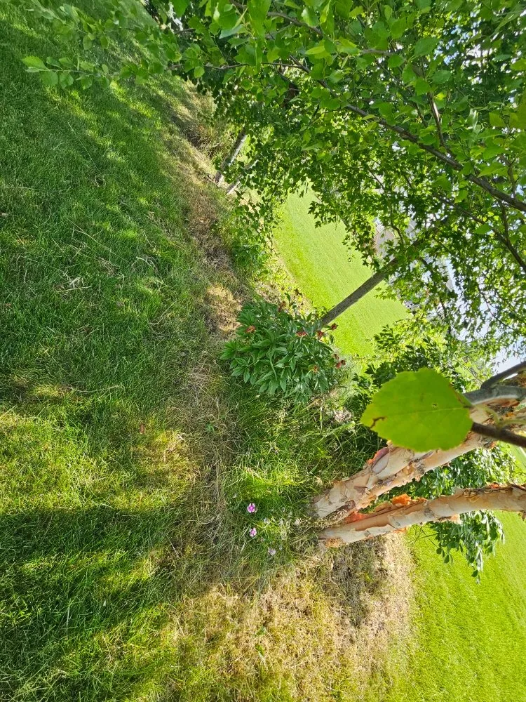 Local landscape design with custom design in Sun Prairie, WI by ReedsWeedz