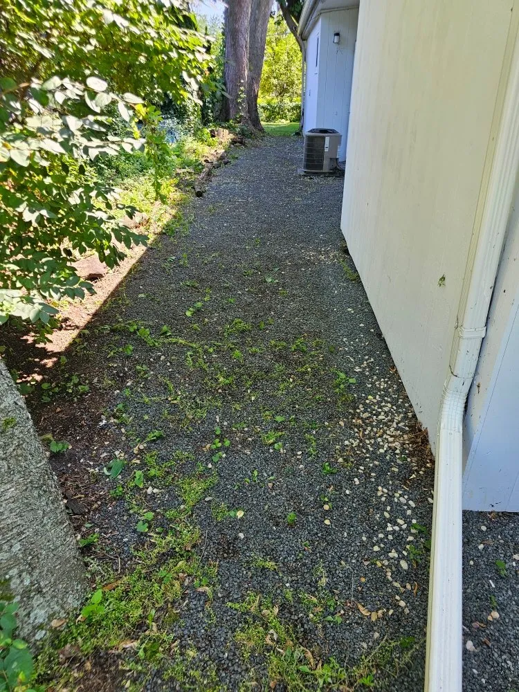 Trusted yard cleanup service experts serving Sun Prairie, WI - ReedsWeedz