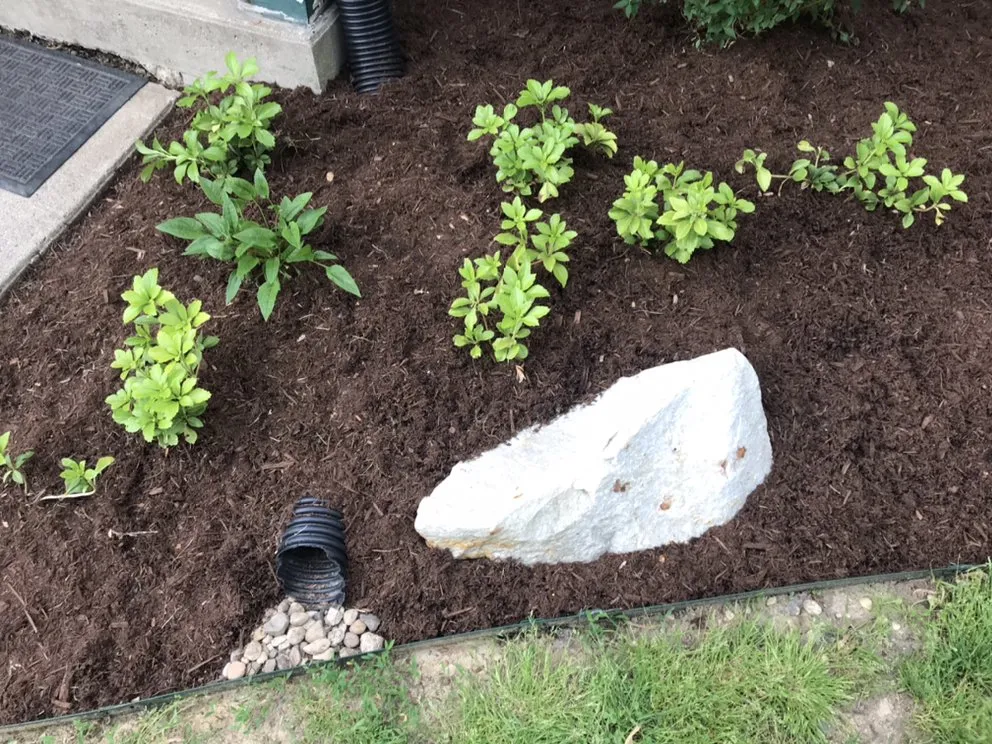 Local landscaping services experts serving Hoschton, GA - Reel Classic Horticulture