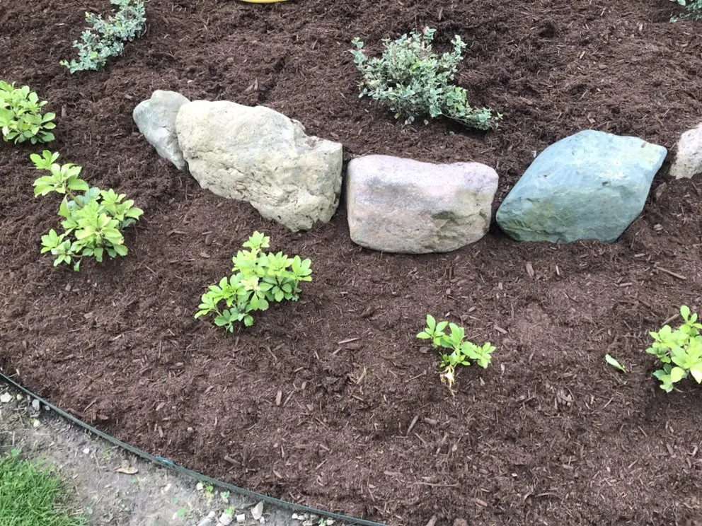 Trusted yard maintenance with custom design in Hoschton, GA by Reel Classic Horticulture