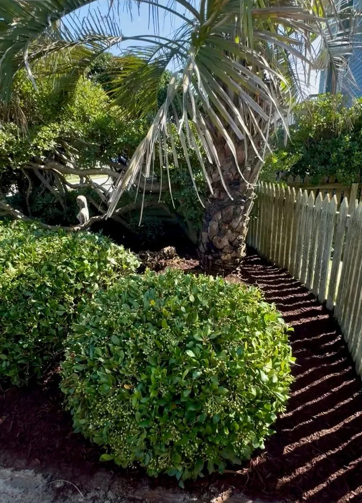 Professional residential landscaping for outdoor upgrades in Peletier, NC by Reel Coastal Services