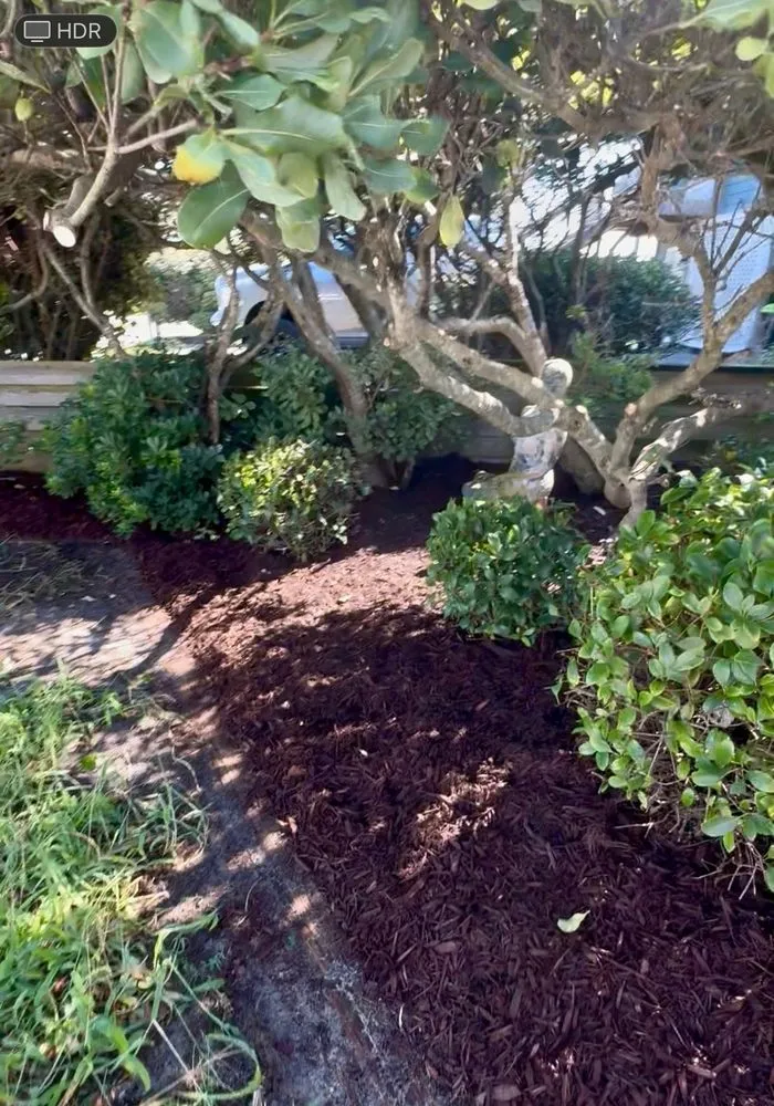 Affordable yard maintenance in Peletier, NC - Reel Coastal Services