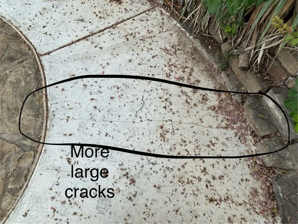 Top-rated yard maintenance in Lake Dallas, TX by Reel Construction and Concrete