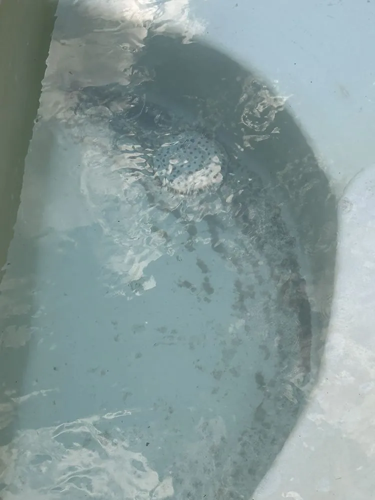 Reliable lawn care service in Lake Dallas, TX - Reel Construction and Concrete