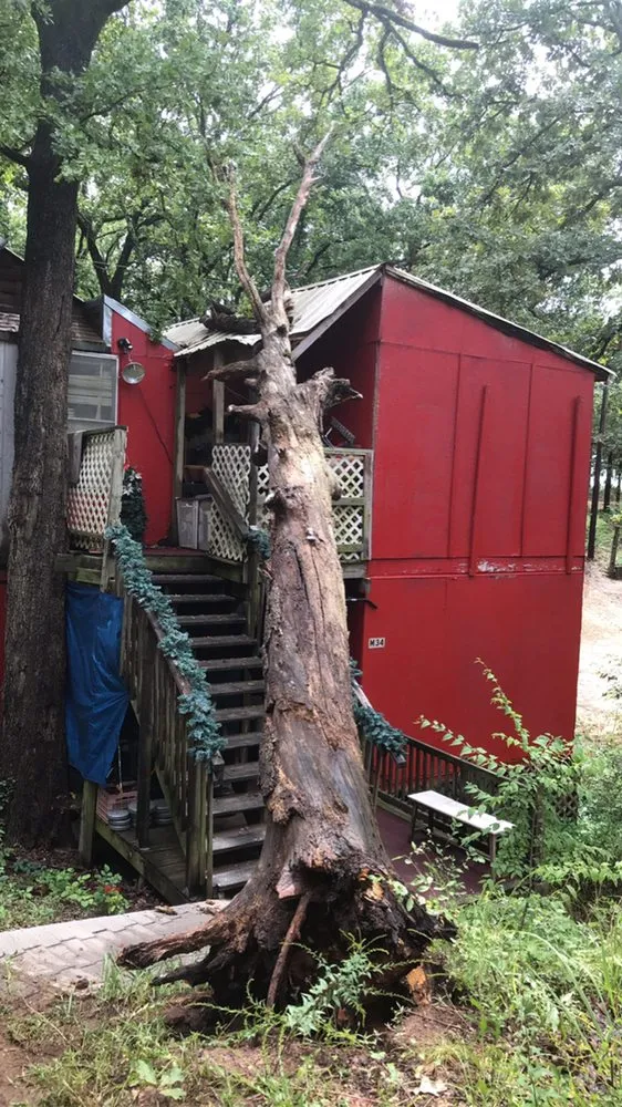 Expert landscape design near you across Wills Point, TX - Reel Contractors and Tree Service