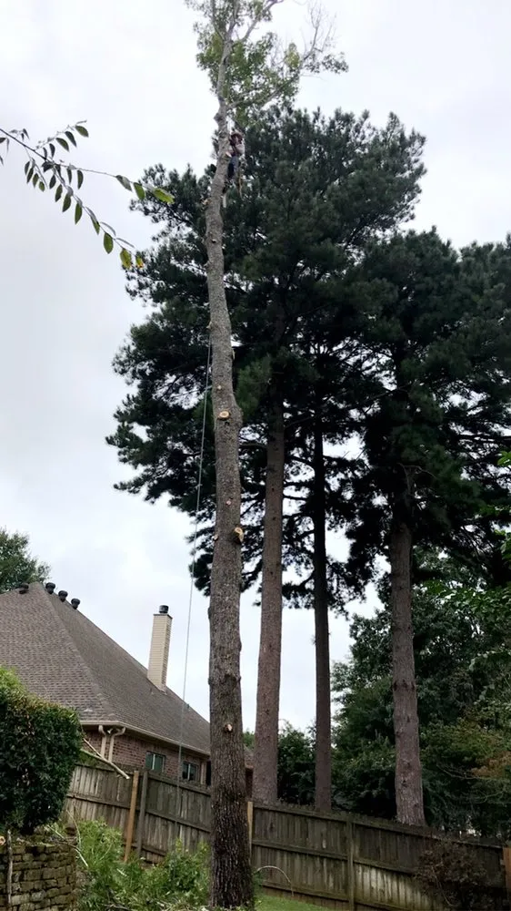 Custom landscape design near you across Wills Point, TX - Reel Contractors and Tree Service