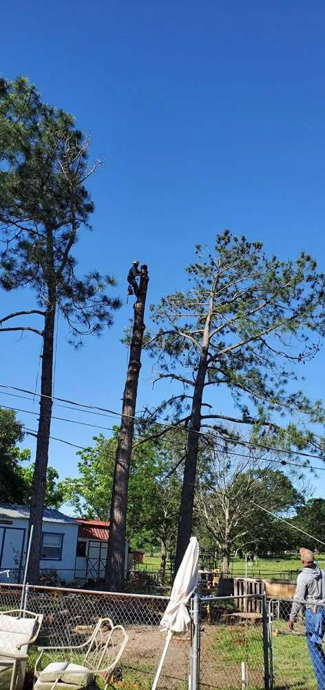 Custom lawn mowing service in Wills Point, TX by Reel Contractors and Tree Service