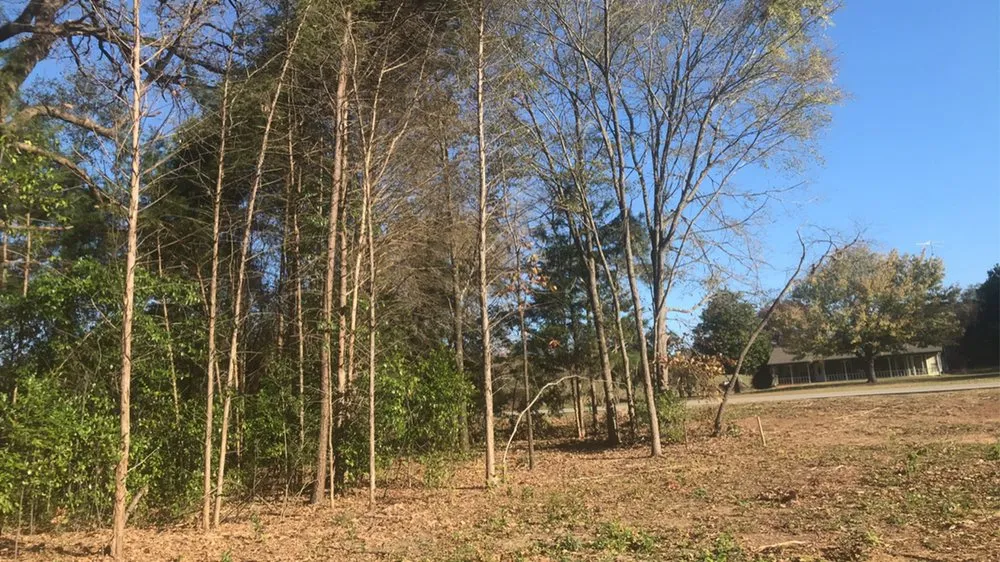 Custom lawn care service for year-round maintenance in Wills Point, TX by Reel Contractors and Tree Service