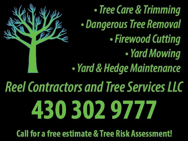 Reliable residential landscaping experts serving Wills Point, TX - Reel Contractors and Tree Service