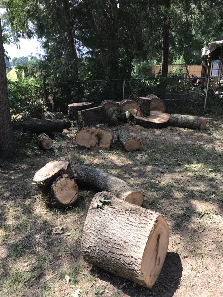 Local lawn care service experts serving Wills Point, TX - Reel Contractors and Tree Service