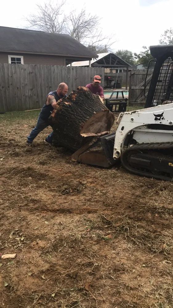 Reliable lawn care service in Wills Point, TX by Reel Contractors and Tree Service