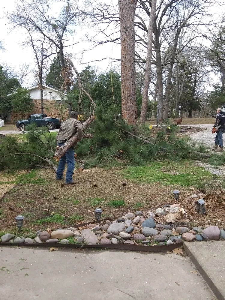 Top-rated yard cleanup service in Wills Point, TX - Reel Contractors and Tree Service