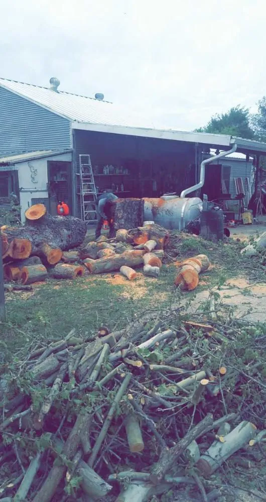 Professional yard maintenance in Wills Point, TX by Reel Contractors and Tree Service