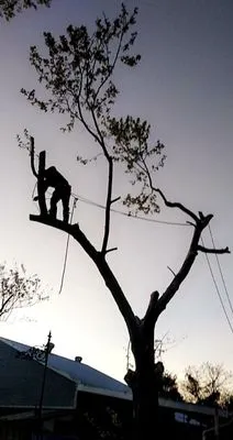 Reel Contractors and Tree Service