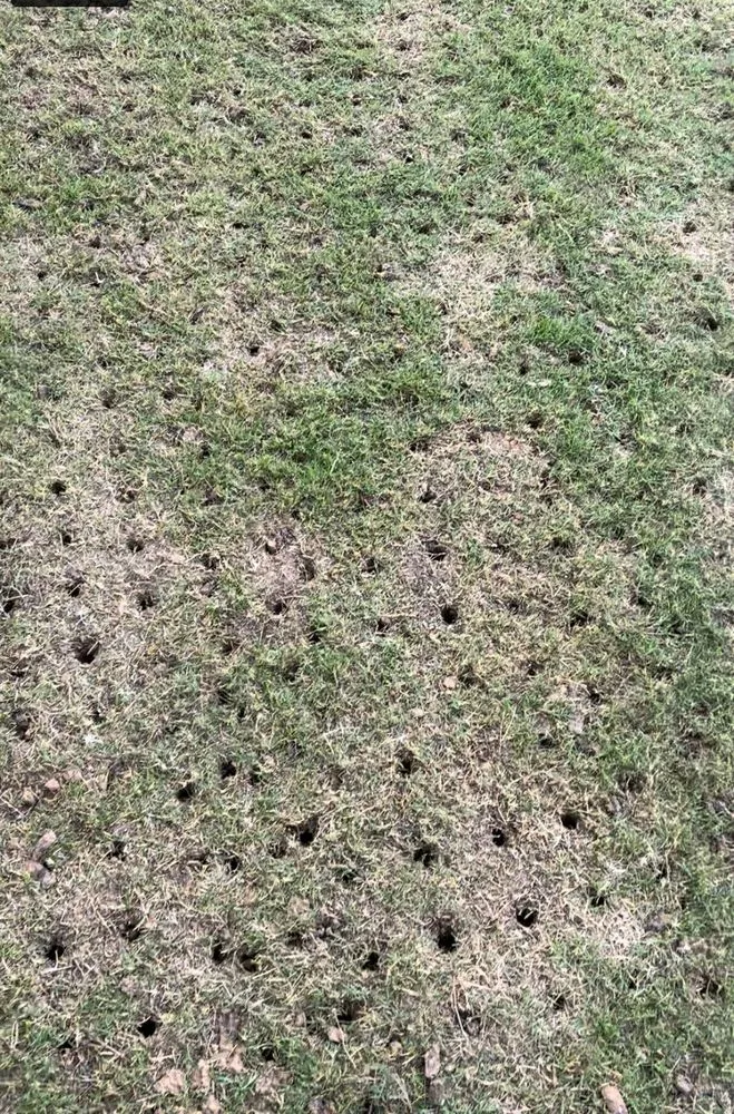 Trusted landscape design experts serving Georgetown, TX - Reel Cut Lawn Care