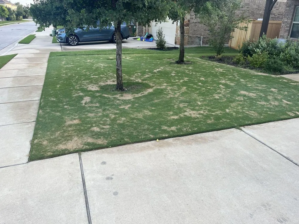 Top-rated garden landscaping for outdoor upgrades in Georgetown, TX by Reel Cut Lawn Care