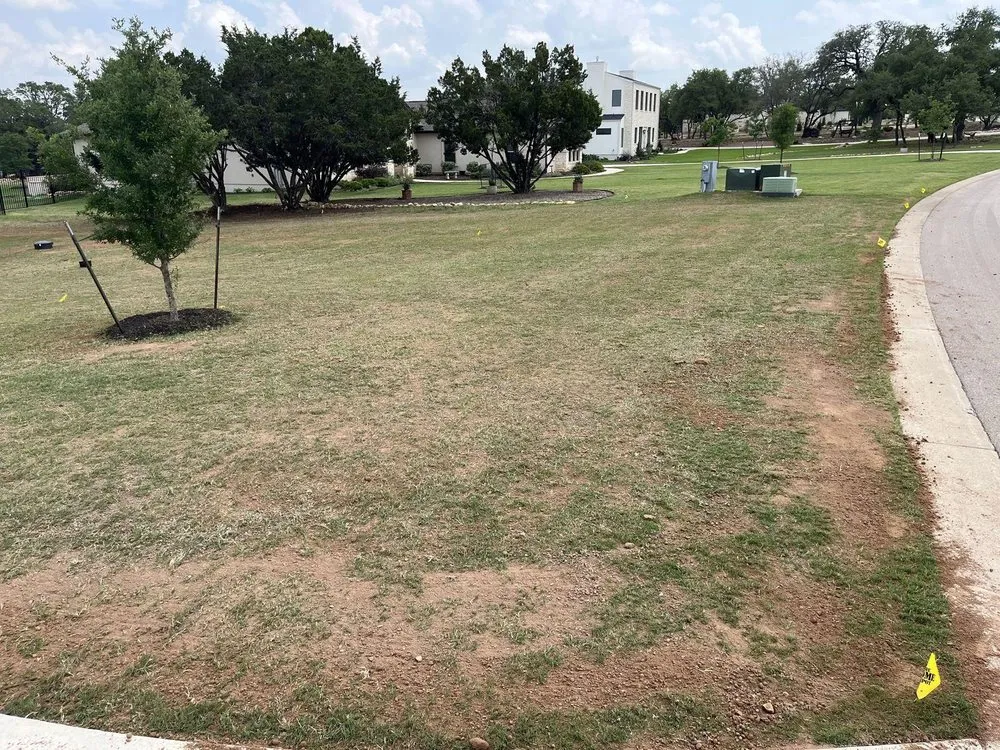 Custom yard maintenance in Georgetown, TX - Reel Cut Lawn Care