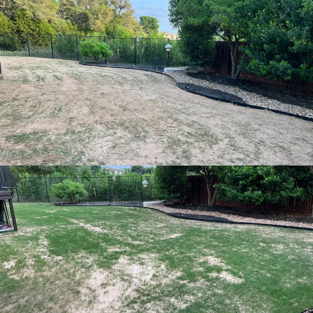 Local yard maintenance in Georgetown, TX - Reel Cut Lawn Care