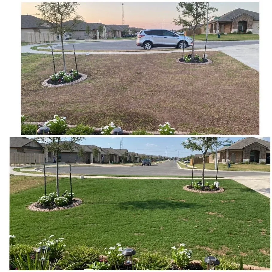 Professional residential landscaping in Georgetown, TX by Reel Cut Lawn Care